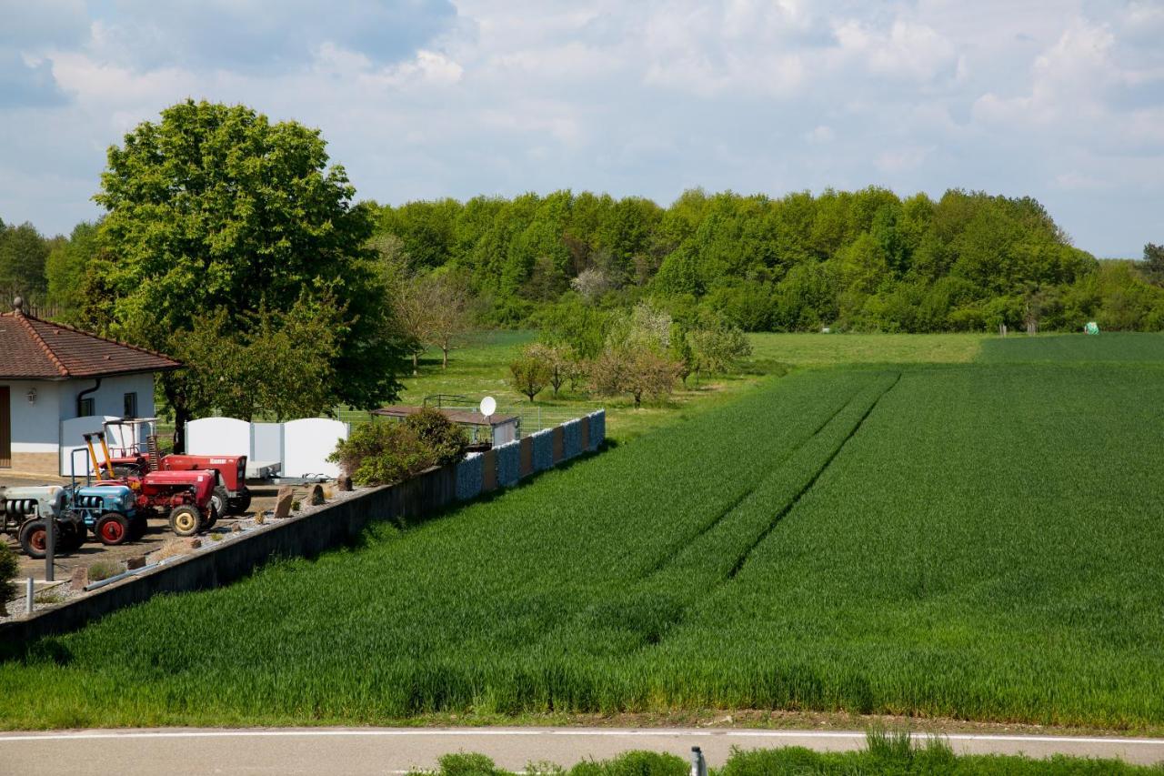 Schoener Wohnen Friesenheim  Buitenkant foto