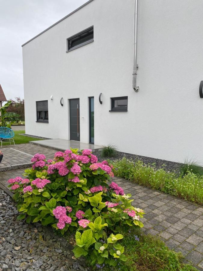 Schoener Wohnen Friesenheim  Buitenkant foto